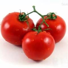 费县西红柿壤红汁多，酸中带甜