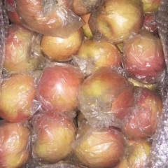 河北辛集大量苹果开始出库，红富士