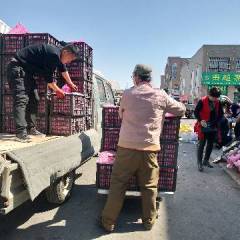 代销、代办全国各地应季时令水果