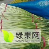 徐州丰县优质白帽蒜苔大量上市