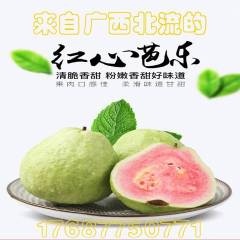 北流市宇豪泉果业供应荔枝,龙眼,芒果