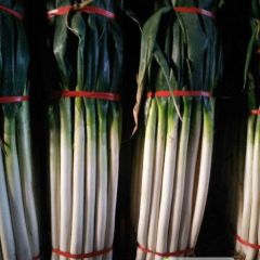 2018胶州大葱 常年加工净葱