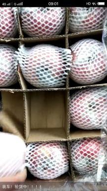 山西万荣临猗冷库大甩卖红富士苹果超低价