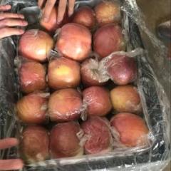 陕西冷库膜袋红富士苹果批发价格