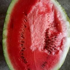 云南陇川章凤口岸，大量上市新绿宝