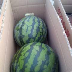 云南本地甜王开始大量上市