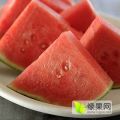 东台市西瓜4月中下旬将大量上市