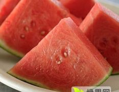 东台市西瓜4月中下旬将大量上市