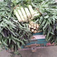 郯城莴苣 蔬菜质量好价格便宜