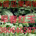 潍坊伟盛瓜果购销合作社