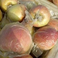 夏邑曹集大量供应苹果，口感好