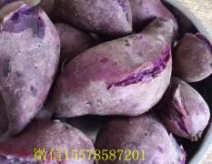 北流越南产地直发 紫薯红薯