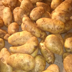 武川县现有500吨，四俩起步翻包斯