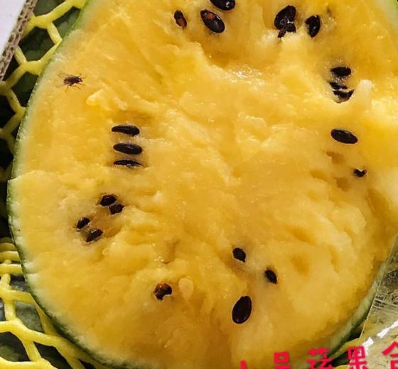 特小凤价格