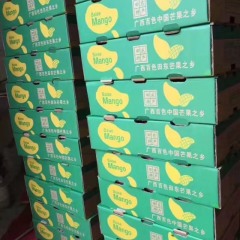 2018田东芒果价格 台农一号营养丰富