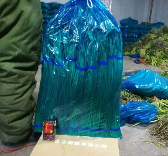 2018年山东金乡金乡红帽蒜薹价格