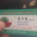 东台无籽有籽都有，市场需求量大
