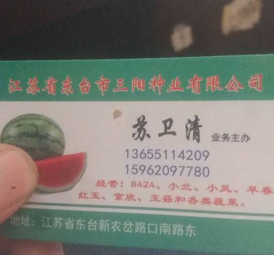 2018年江苏东台8424西瓜价格