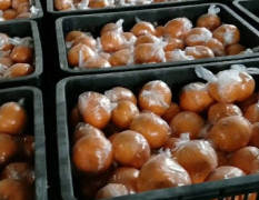 秀山椪柑火红细皮果60起3毛一斤