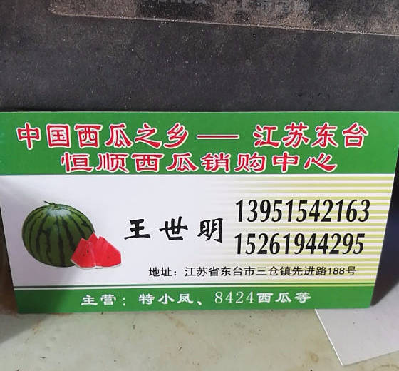 2018年江苏东台8424西瓜价格