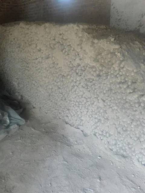 2018年山东牡丹白玉山药价格