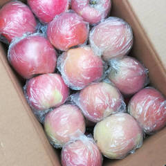 山西临猗箱装红富士苹果欢迎合作