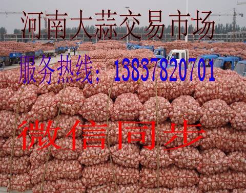 2018年河南通许杂交蒜价格