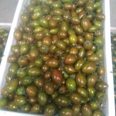 山东寿光长年大量供应小樱桃西红柿