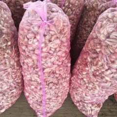 求购火葱头，，，产品如下图片