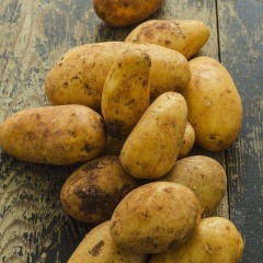 襄州双沟农产品比较多比较好