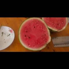 中江西瓜 专业种植8424大棚西瓜