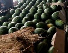 邯郸市南大堡蔬菜水果批发市场，麒麟西瓜