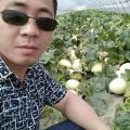 东台市青奇瓜果蔬菜贸易有限公司