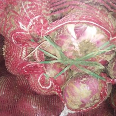 大丰优质红皮洋葱上市，7公分以上大颗，