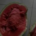 昌乐西瓜现以大量上市，品种有甜王