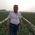 睢阳李口镇小庄集西街口瓜果销售基地
