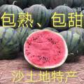 清苑张登镇甜王，京欣，客欣西瓜