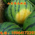 山东省齐河县西瓜批发多少钱一斤