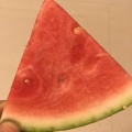 新沂高流陈静5月8424西瓜