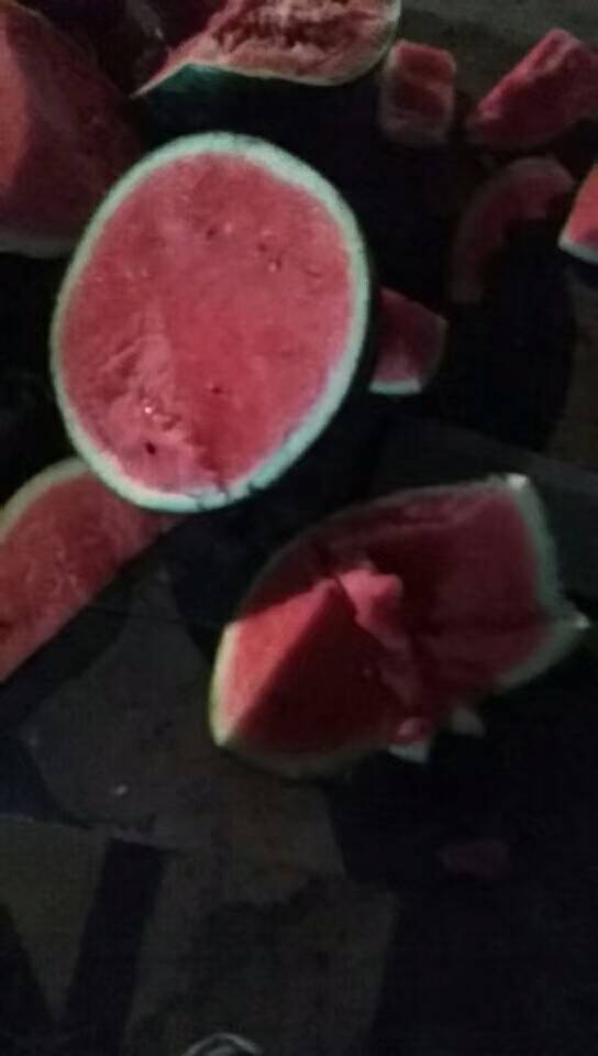 麒麟西瓜价格