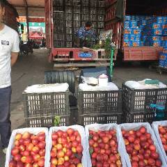 宁夏四季鲜农产品综合批发市场批发曙光油桃