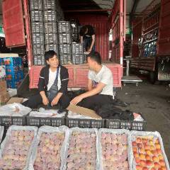 宁夏四季鲜代购、代销全国各地应季时令水果