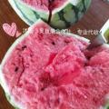 供应8424和特小凤西瓜，诚信代办，保证质量！！