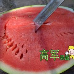 蒲城花皮无籽黑皮无籽甜王金城五上市品质好性价比高