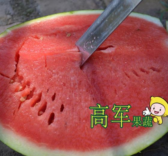 花皮无籽价格