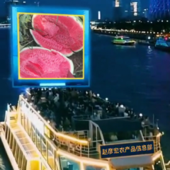 定边沙漠西瓜口感极佳含糖量高