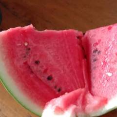 河北清苑大棚西瓜上市了产品有，京欣，冠龙