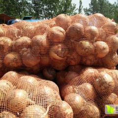江苏徐州丰去洋葱大量上市