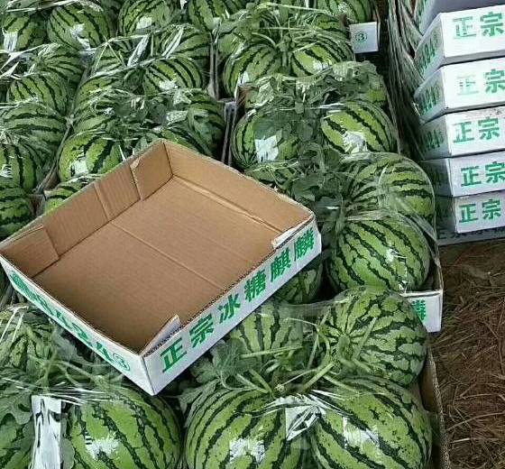 2018年河南通许8424西瓜价格
