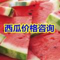 临沂万亩大棚西瓜产地货源充足